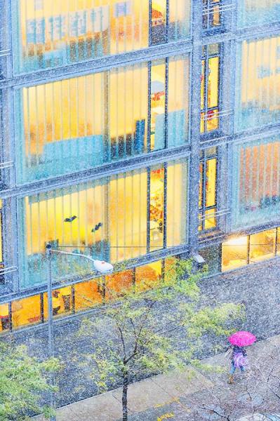 Photograph Mitchell Funk Pink Umbrella on One Eyeland